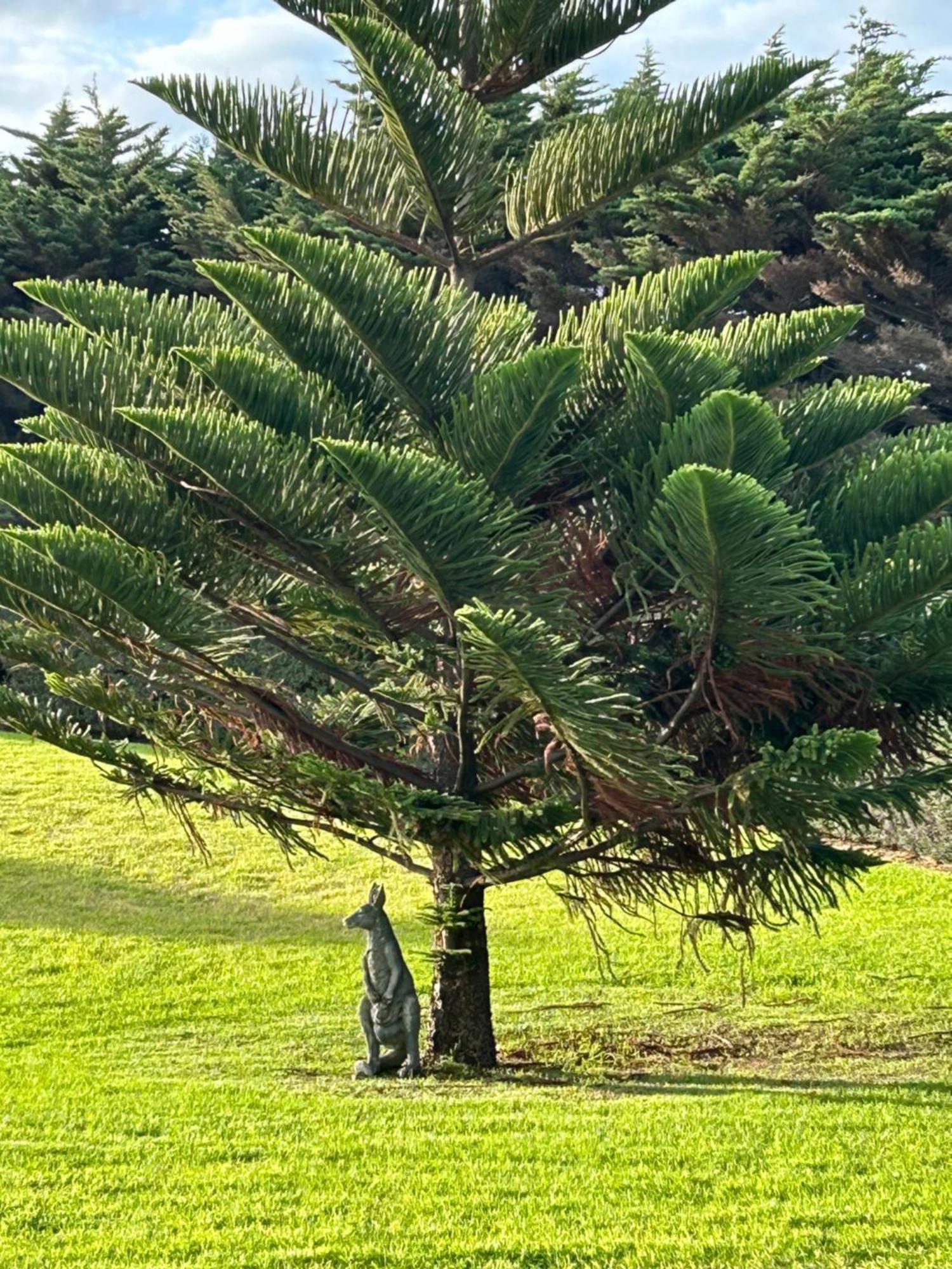 Nest - Charming, Comfortable Coastal Villa Port Fairy Exterior foto
